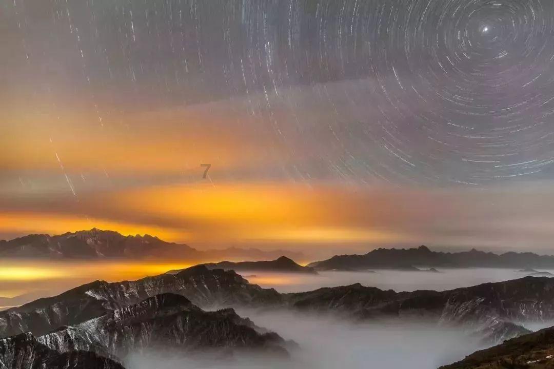 披萨找不同